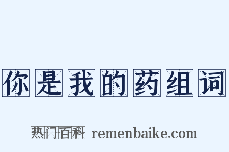 你是我的药组词是什么意思的图片